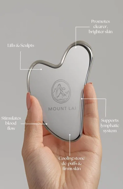 Mount Lai The Stainless Steel Gua Sha Tool In Transparent