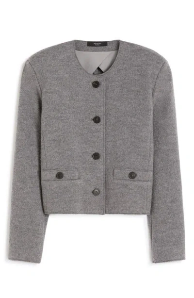 Weekend Max Mara Savona Wool Jacket In Gray