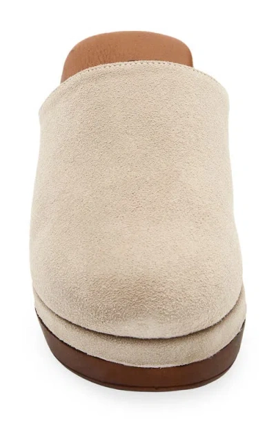 Cordani Wanda Clog In Multi