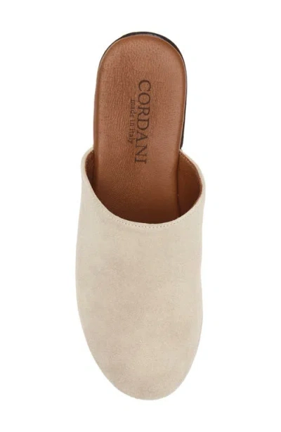 Cordani Wanda Clog In Multi