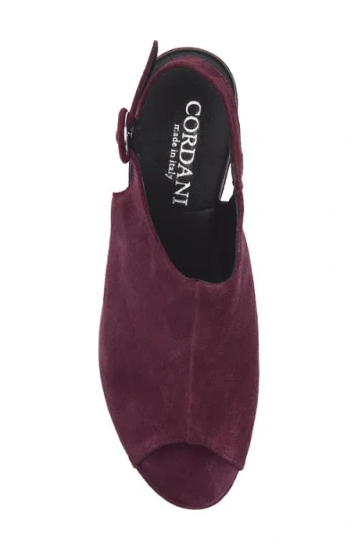 Cordani Tess Slingback Platform Sandal In Burgundy