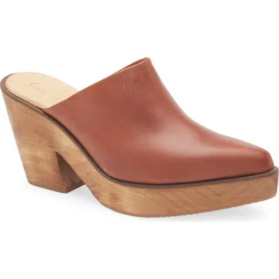 Cordani Pointed Toe Platform Mule In Brown