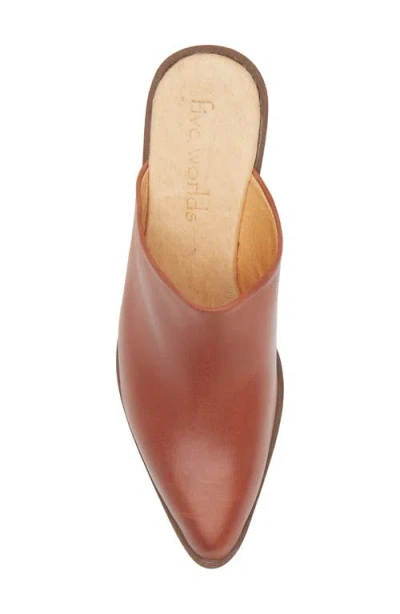Cordani Pointed Toe Platform Mule In Brown