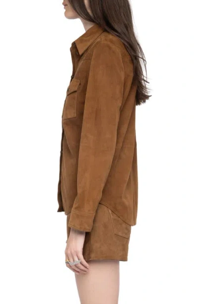 Zadig & Voltaire Womens Daim Thelma Patch-pocket Suede Shirt Xs In Brown