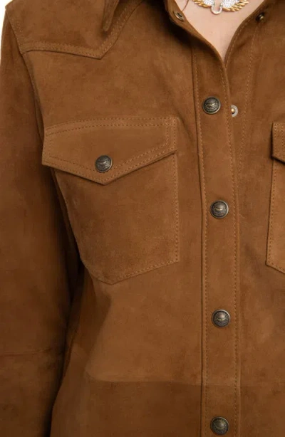 Zadig & Voltaire Womens Daim Thelma Patch-pocket Suede Shirt Xs In Brown