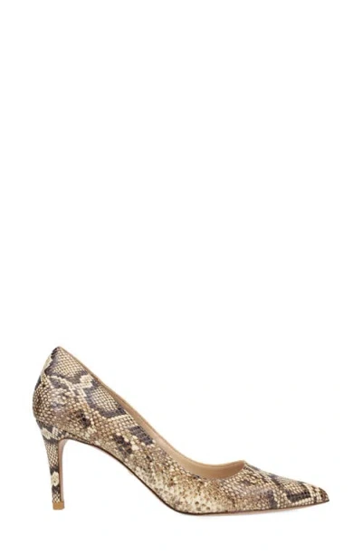 Pelle Moda Lizel 2 Pointed Toe Pump In Multi