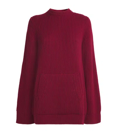 Max Mara Wool-cashmere Mini Dress In Red