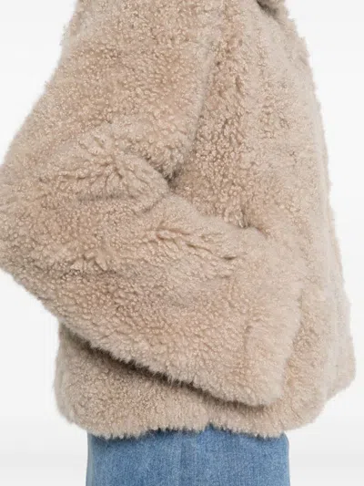 Yves Salomon Teddy-collared Jacket In Multi