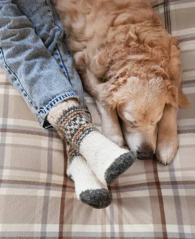 Levtex Spencer Plaid Flannel 2-pc. Comforter Set, Twin/twin Xl In Multi