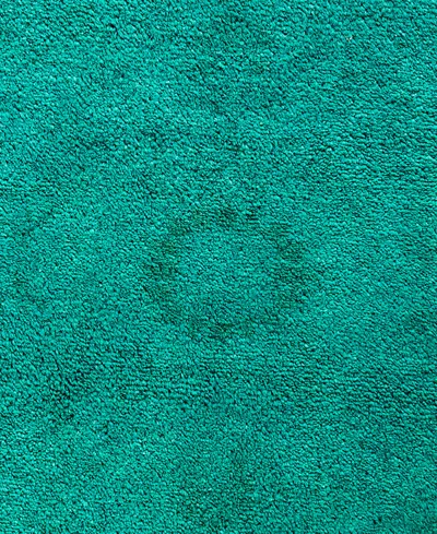 Adorn Hand Woven Rugs Fine Vibrance M1419 9'3"x12'1" Area Rug In Green