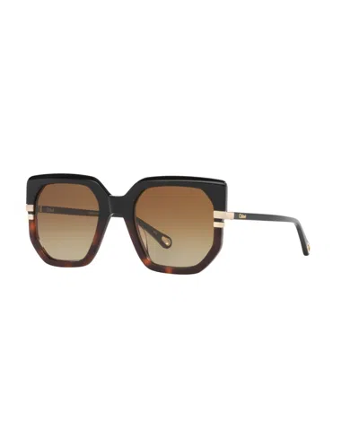 Chloé Womens Ch0240s Square-frame Acetate Sunglasses Black In Black