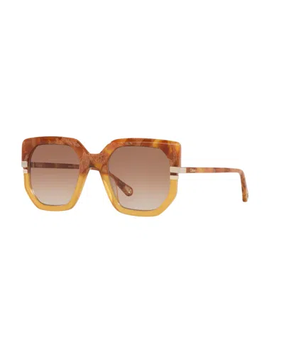 Chloé Womens Ch0240s Square-frame Acetate Sunglasses Brown