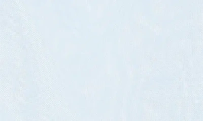 Mytagalongs Insulated Cooler Base Mesh Tote In Blue