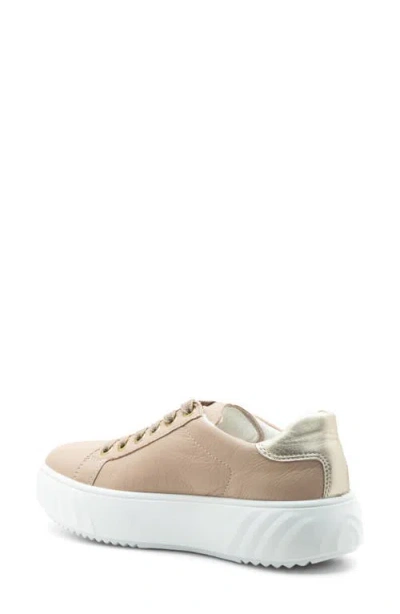 Ara Mikky Platform Sneaker In Neutral