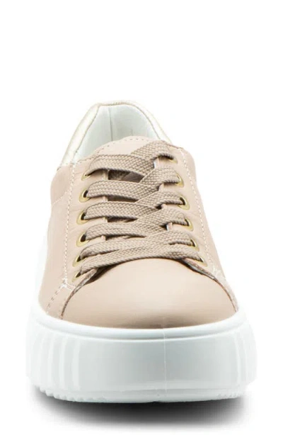 Ara Mikky Platform Sneaker In Neutral