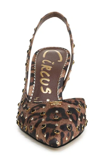 Circus Ny By Sam Edelman Women's Tallie Rhinestone Pointed-toe Asymmetrical Pumps In Multi