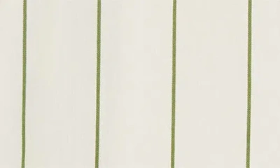 Bode Murray Stripe Cotton Button-up Shirt In Multi