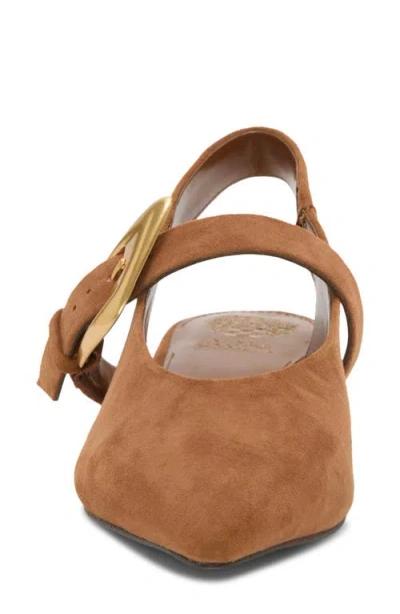 Vince Camuto Amoret Pointed Toe Slingback Flat In Brown