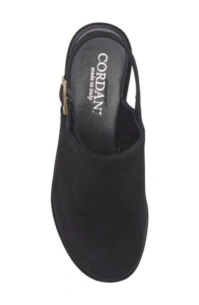 Cordani Jules Slingback Platform Wedge Clog In Black