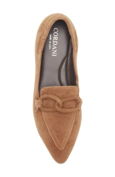 Cordani Miriam Pointed Toe Loafer In Brown