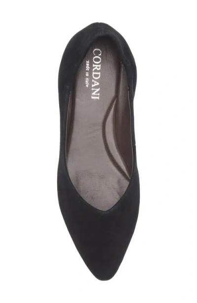Cordani Mavis Pointed Toe Flat In Black