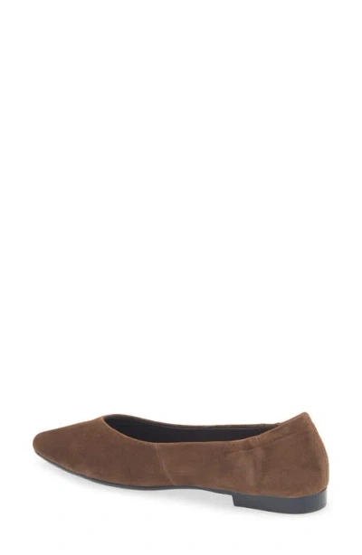 Cordani Mavis Pointed Toe Flat In Brown