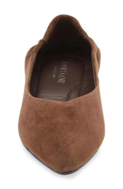 Cordani Mavis Pointed Toe Flat In Brown
