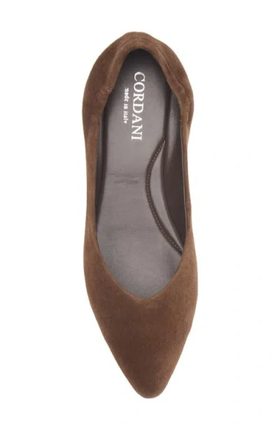 Cordani Mavis Pointed Toe Flat In Brown