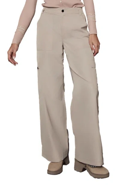 Alp N Rock Chalet Water Repellent Insulated Cargo Pants In Neutral