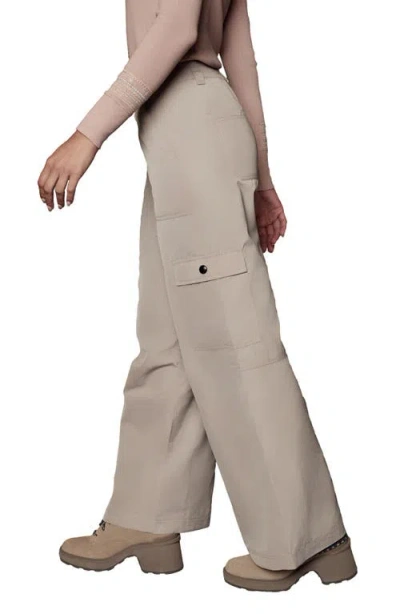 Alp N Rock Chalet Water Repellent Insulated Cargo Pants In Neutral