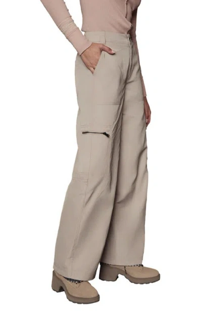 Alp N Rock Chalet Water Repellent Insulated Cargo Pants In Neutral