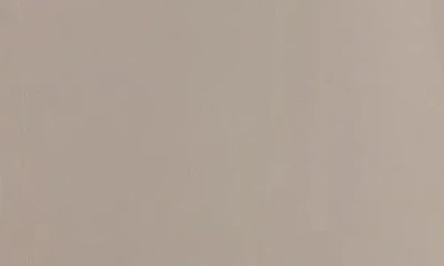 Alp N Rock Chalet Water Repellent Insulated Cargo Pants In Neutral