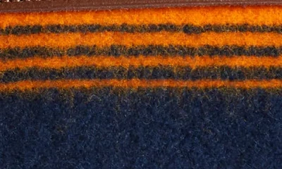 Pendleton National Park Stripe Throw Blanket & Carrier In Multi