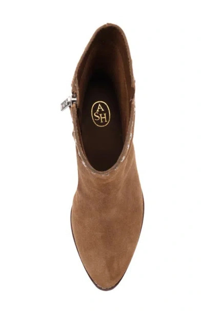 Ash Jackie Bootie In Brown