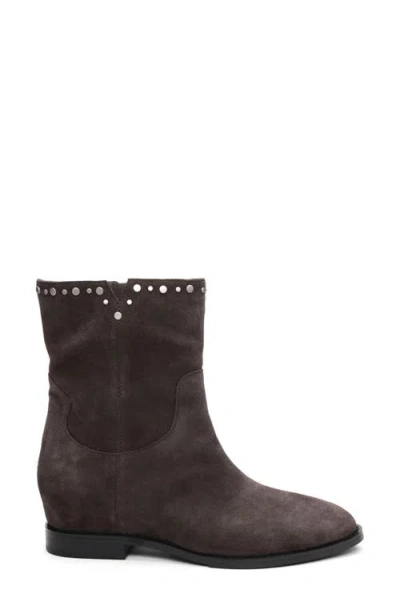Ash Jackie Bootie In Gray