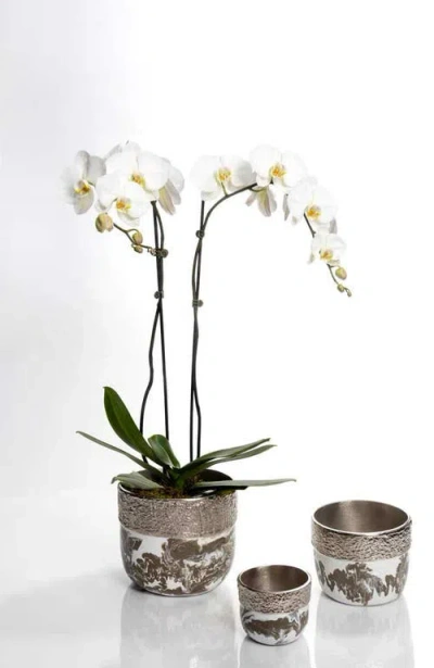Lunares Dansbury Cache Pot In Silver