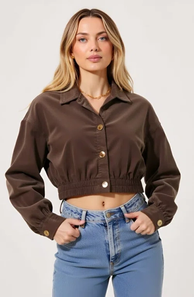 Modenaire Cropped Collared Button-up Stretch Hem Jacket In Brown