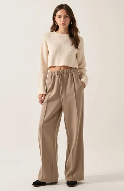Modenaire Wide-leg Front-seam Elastic Drawstring Waist Trousers In Brown