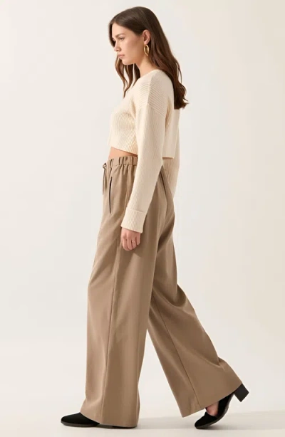 Modenaire Wide-leg Front-seam Elastic Drawstring Waist Trousers In Brown