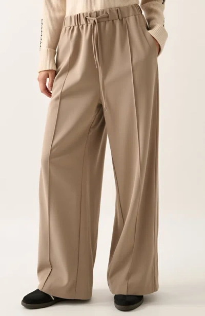 Modenaire Wide-leg Front-seam Elastic Drawstring Waist Trousers In Brown