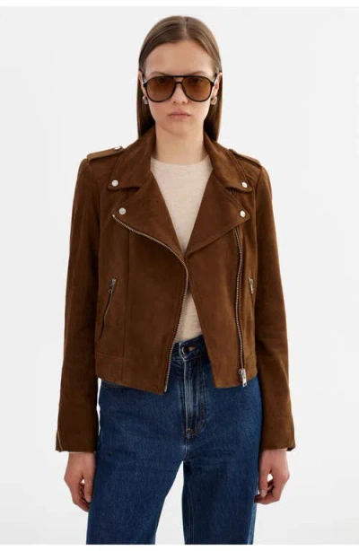 Lamarque Donna S | Suede Biker Jacket In Brown