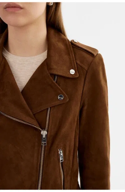 Lamarque Donna S | Suede Biker Jacket In Brown