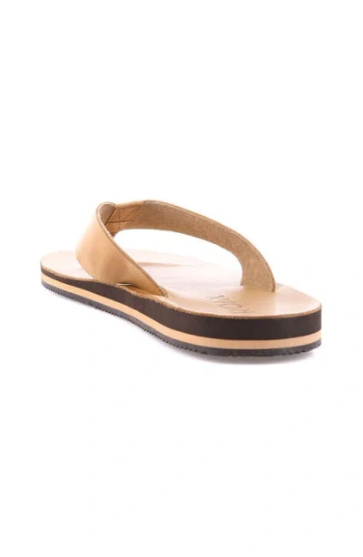 Roan Townfolk Sandal In Brown