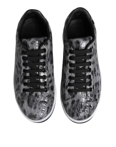 Pre-owned Dolce & Gabbana Gray Leather Leopard Low Top Sneakers Men's Shoes () In Multi