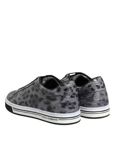 Pre-owned Dolce & Gabbana Gray Leather Leopard Low Top Sneakers Men's Shoes () In Multi