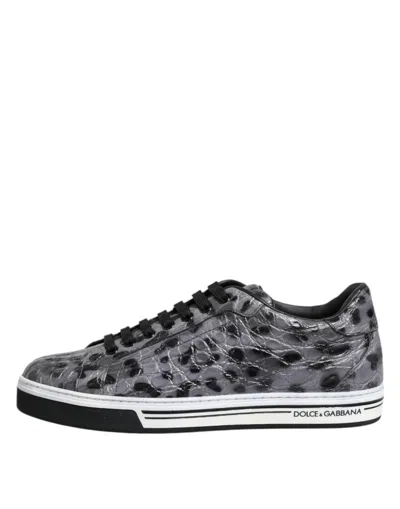 Pre-owned Dolce & Gabbana Gray Leather Leopard Low Top Sneakers Men's Shoes () In Multi