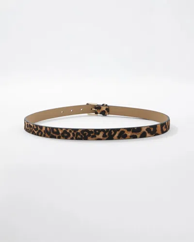 White House Black Market Skinny Pant Belt In Brown