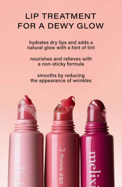 Melixir Vegan Lip Treatment In Pink