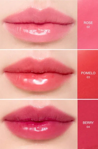 Melixir Vegan Lip Treatment In Pink