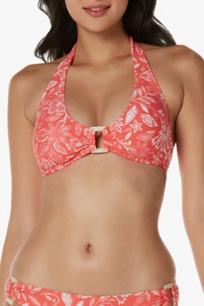 Helen Jon Shell Hipster Bikini Bottom In Brown